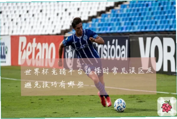 世界杯彩票常见误区与正确玩法